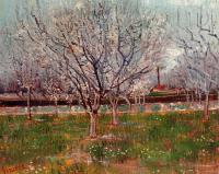 Gogh, Vincent van - Orchard in Blossom